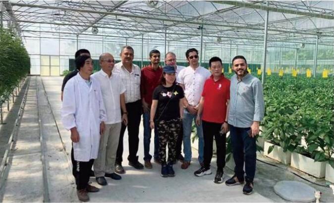 冠军国际現代設施農業工程約旦設施農業溫室工程項目